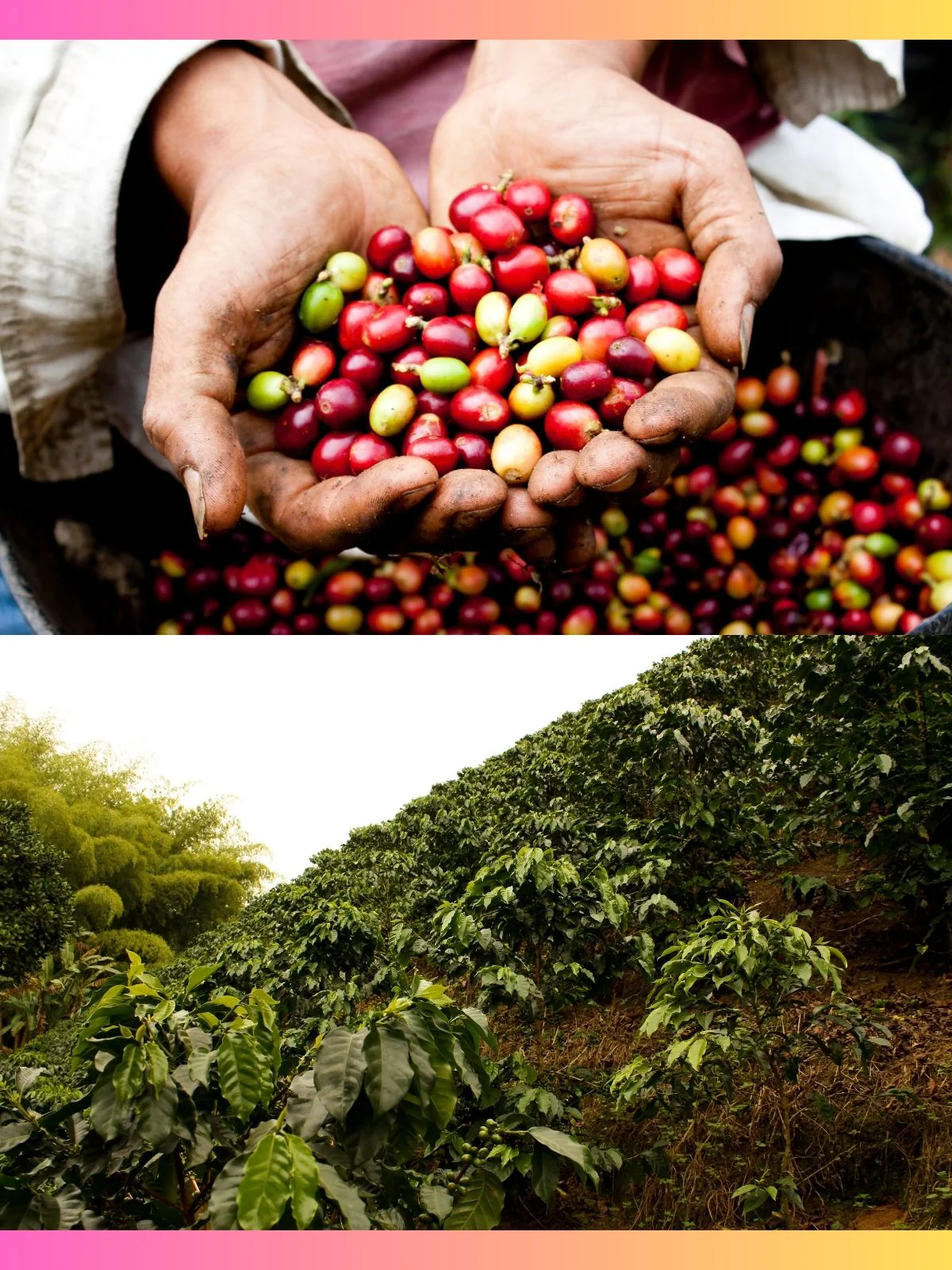 Colombia Supremo 17/18 - Image 2