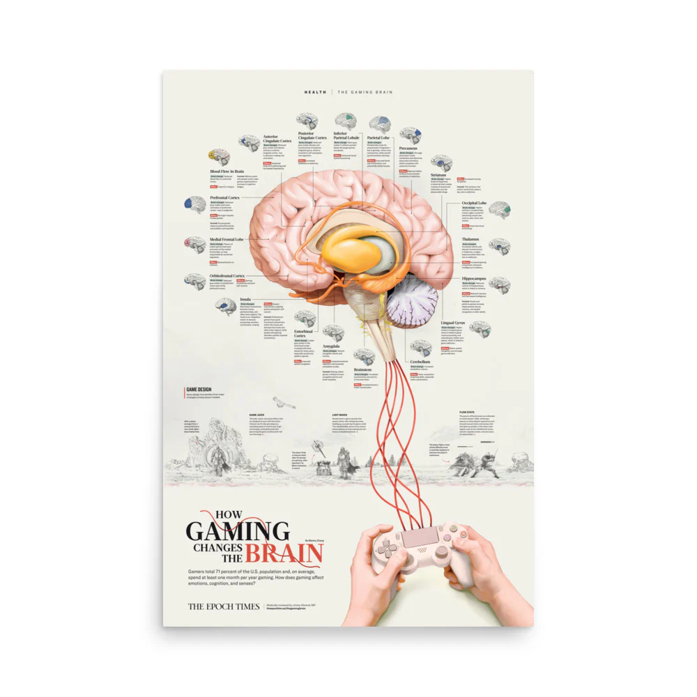 How Gaming Changes the Brain - Image 4