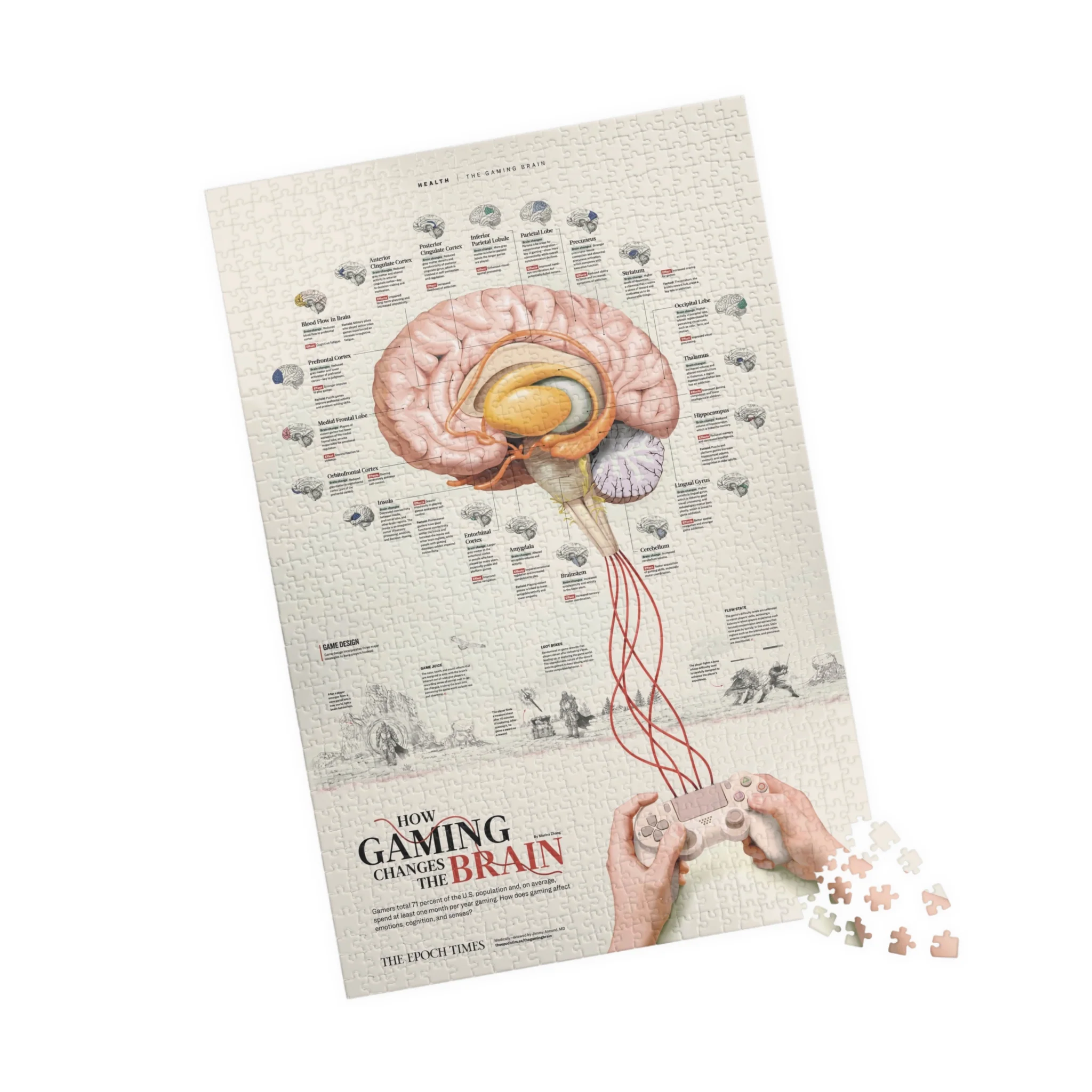 How Gaming Changes the Brain Puzzle - Image 3