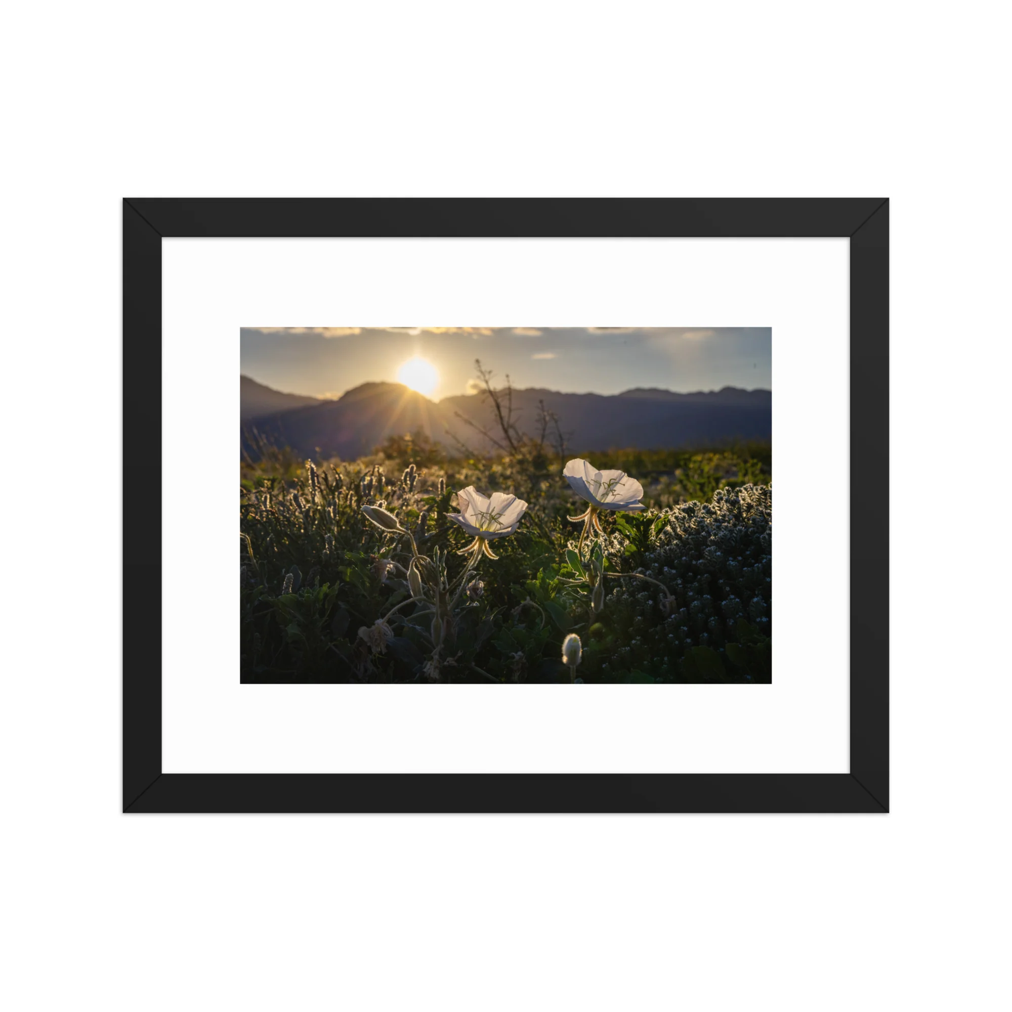 Wildflower Bloom - Image 5