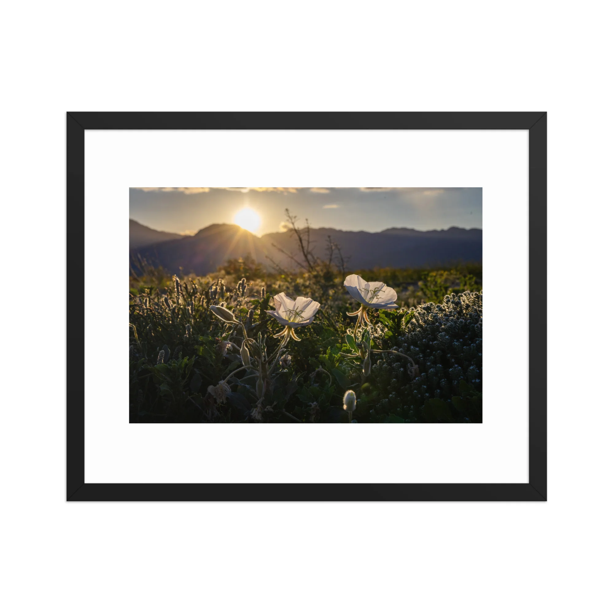 Wildflower Bloom - Image 6